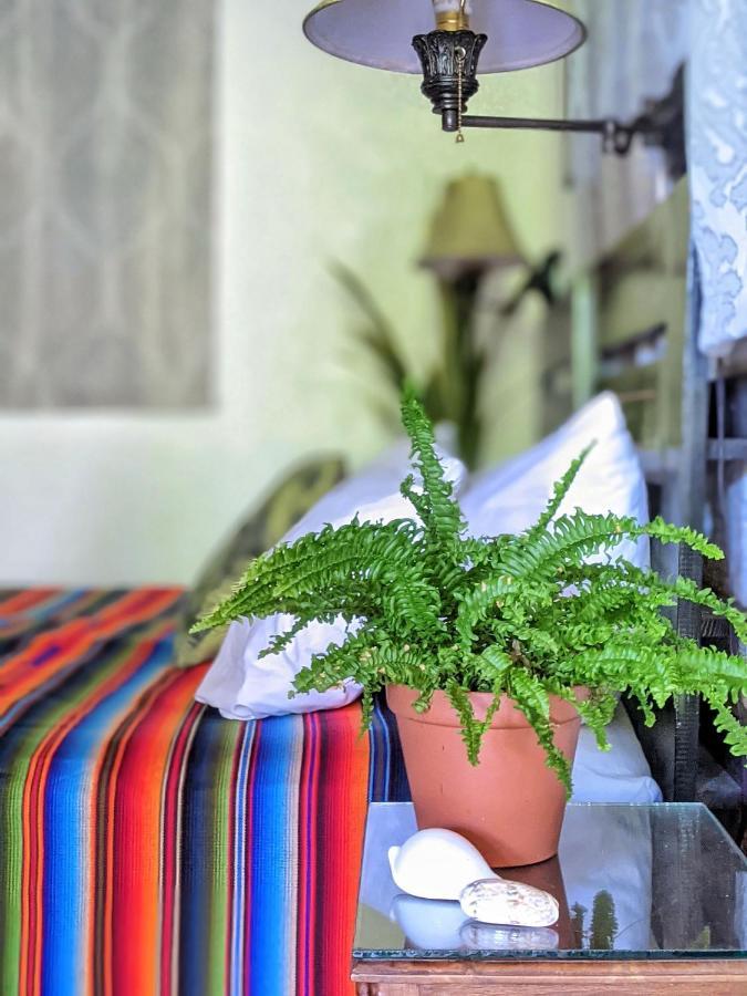 ווסט ביי Seaside Inn Roatan מראה חיצוני תמונה